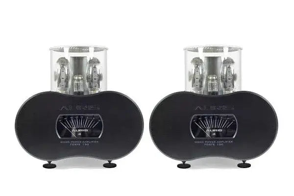 Auris Audio Forte 150 Tube Amplifier