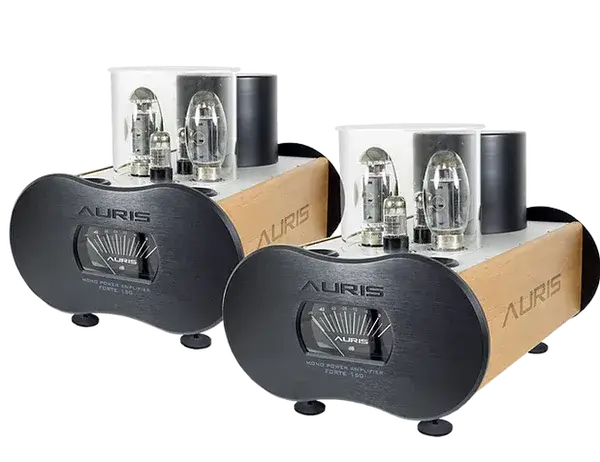Auris Audio Forte 150 Tube Amplifier