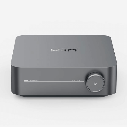 WiiM Amp – Powered Outdoor Garden Speaker System (4.1)