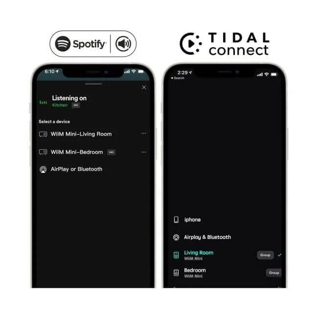 WiiM Mini AirPlay2 Wireless Audio Streamer