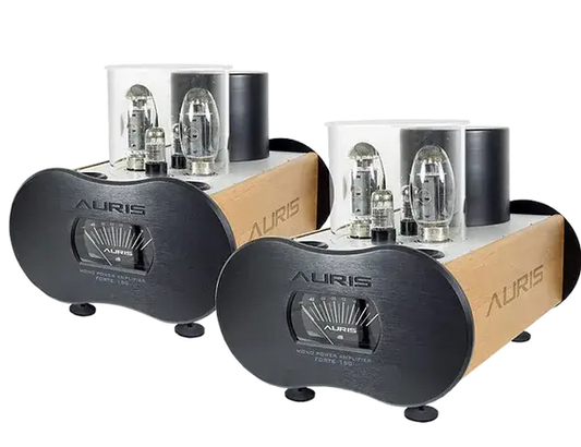 Auris Audio Forte 150 Tube Amplifier