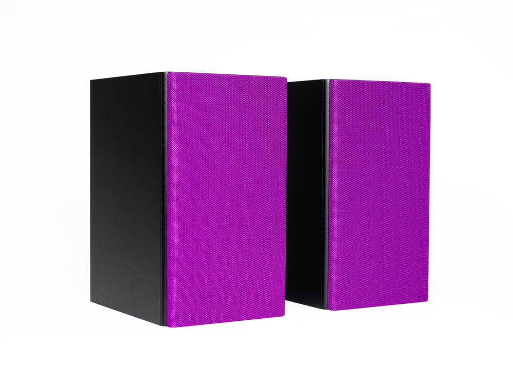 Encel Raw Gelati Bookshelf Speakers (no grille)