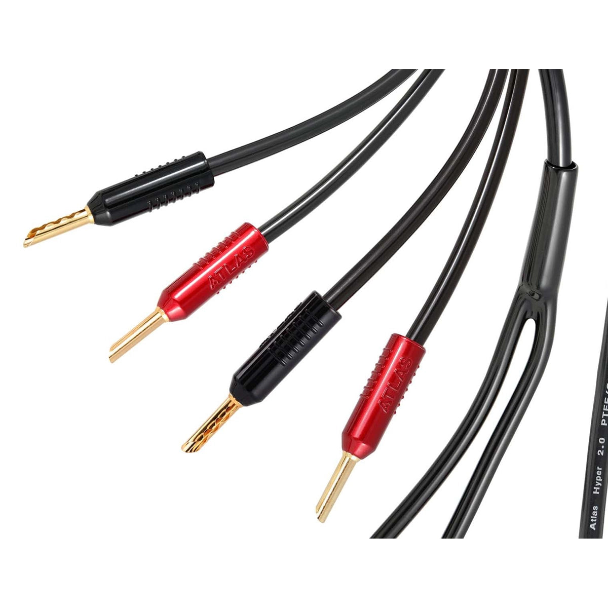 Atlas Hyper Achromatic Speaker Z 2.0 Stereo Cable