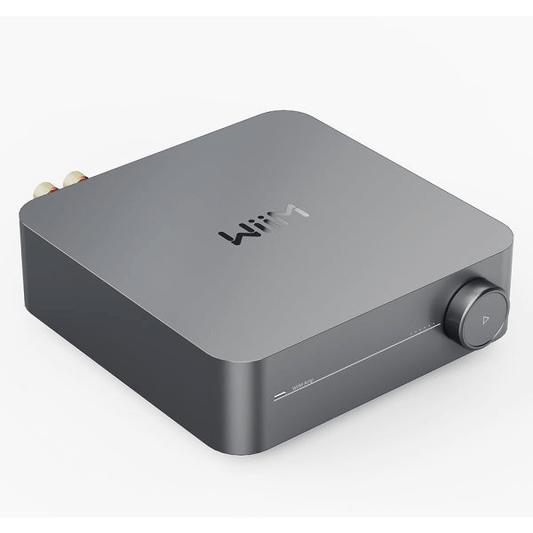 WiiM Amp – Powered Outdoor Garden Speaker System (4.1)
