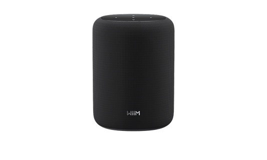 WiiM Sound Lite Smart Speaker