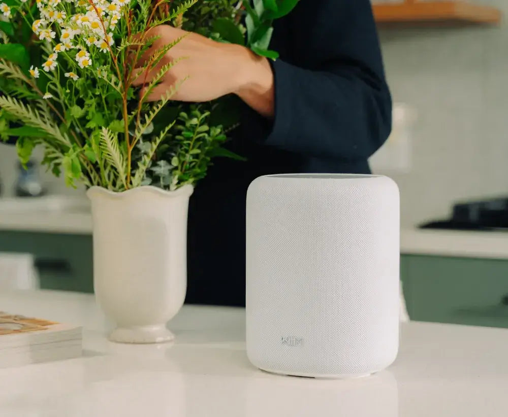 WiiM Sound Lite Smart Speaker