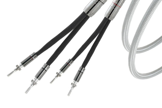 Atlas Asimi Transpose Speaker Grun Luxe Cable